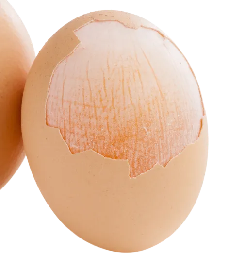 Eggshell membrane