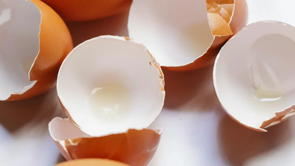 Eierschalenmembran bietet Vorteile für die Gelenkgesundheit